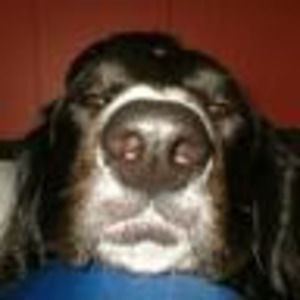 Meet your Posher, Todd